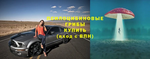 первитин Няндома