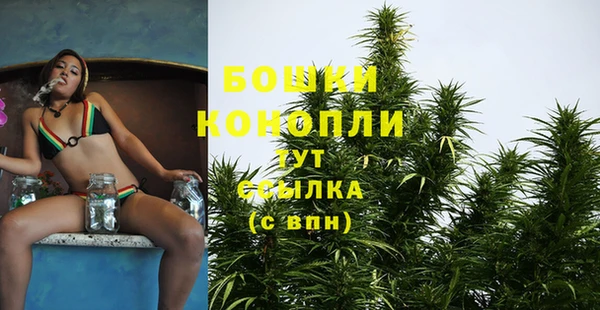 гашик Нязепетровск