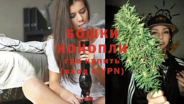 первитин Няндома