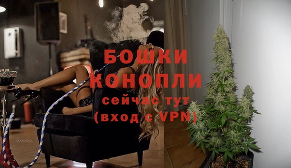 первитин Няндома