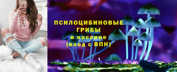 первитин Няндома