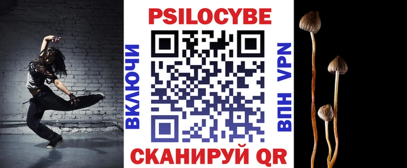 Псилоцибиновые грибы Psilocybe Арамиль